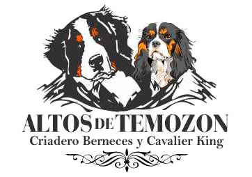 Criadero Altos de Temozón